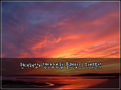 ํ๋ํด์๋น๊ฐฑ์ ์๋ณดํ ํ๋์ฐพ๊ธฐ ์๋ฒฝ๋ถ์