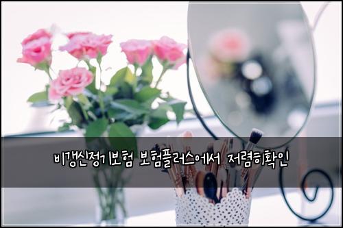 비갱신정기보험 보험플러스에서 저렴히확인