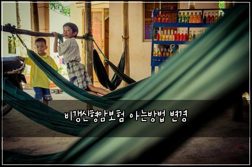 비갱신형암보험 아는방법  변경