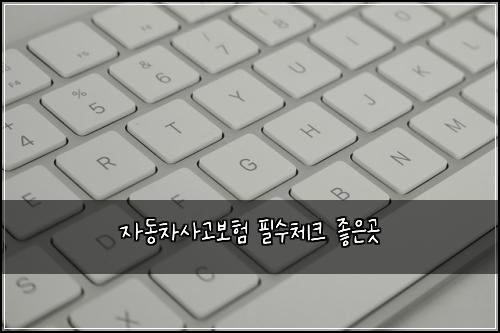 자동차사고보험 필수체크  좋은곳
