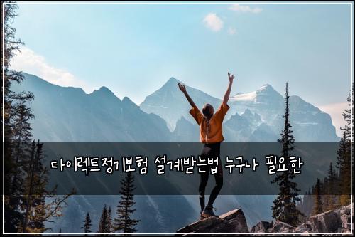다이렉트정기보험 설계받는법  누구나 필요한