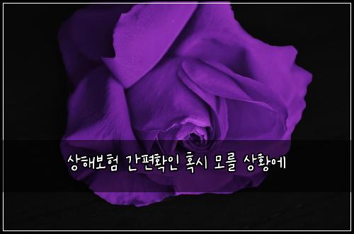상해보험 간편확인  혹시 모를 상황에