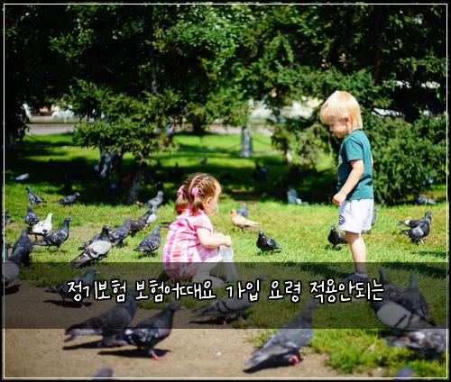 정기보험 보험어때요  가입 요령 적용안되는