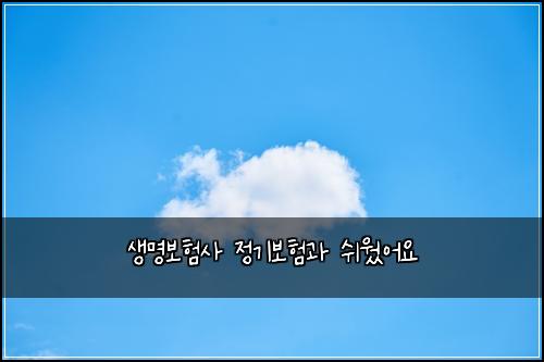 ์๋ช
๋ณดํ์ฌ ์ ๊ธฐ๋ณดํ๊ณผ ์ฌ์ ์ด์