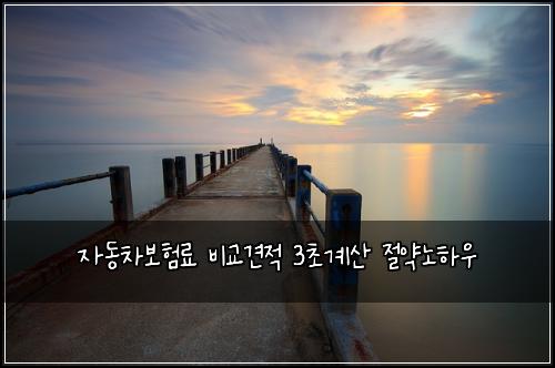 ์๋์ฐจ๋ณดํ๋ฃ ๋น๊ต๊ฒฌ์ 3์ด๊ณ์ฐ ์ ์ฝ๋
ธํ์ฐ