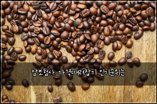 암보험사 가격때려잡기 인기순위는
