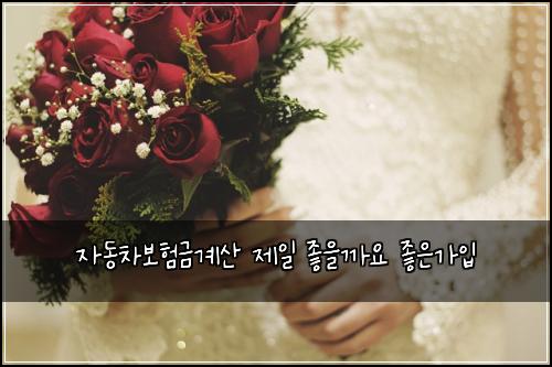 자동차보험금계산 제일 좋을까요 좋은가입