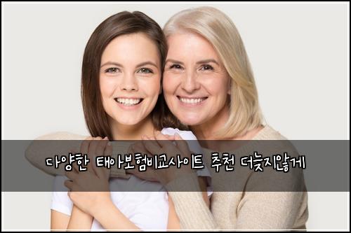 다양한 태아보험비교사이트 추천 더늦지않게