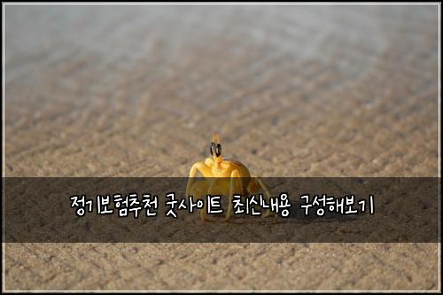 정기보험추천 굿사이트 최신내용 구성해보기