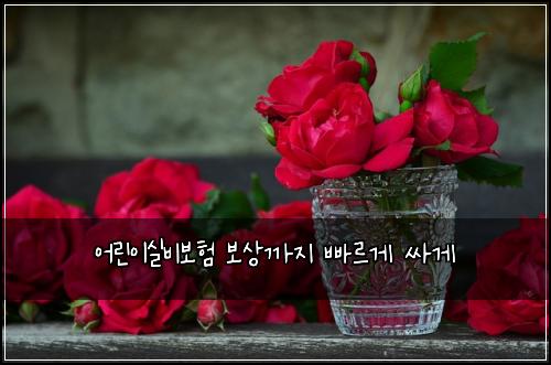์ด๋ฆฐ์ด์ค๋น๋ณดํ ๋ณด์๊น์ง ๋น ๋ฅด๊ฒ ์ธ๊ฒ