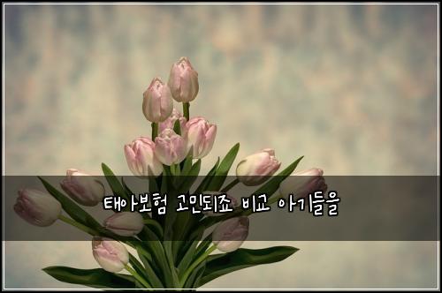 ํ์๋ณดํ ๊ณ ๋ฏผ๋์ฃ ๋น๊ต ์๊ธฐ๋ค์