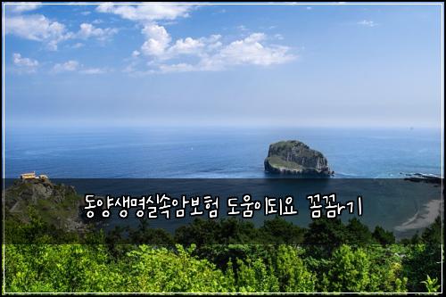 동양생명실속암보험 도움이되요  꼼꼼r기