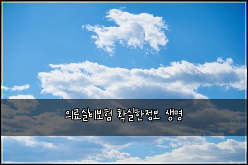 의료실비보험 확실한정보  생명