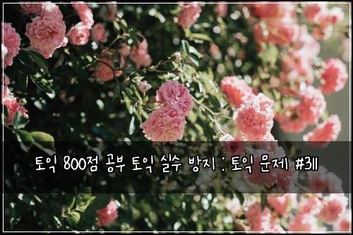 토익 800점 공부 토익 실수 방지 : 토익 문제 #311