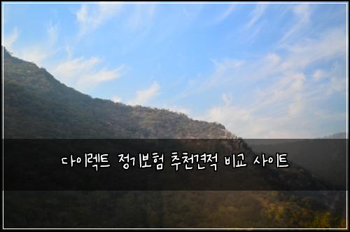 다이렉트 정기보험 추천견적  비교 사이트