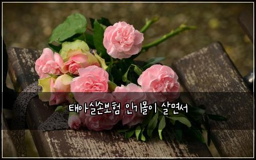 ํ์์ค์๋ณดํ ์ธ๊ธฐ๋ชฐ์ด ์ด๋ฉด์