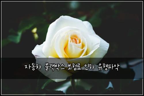 자동차 블랙박스 보험료 인하 유형파악
