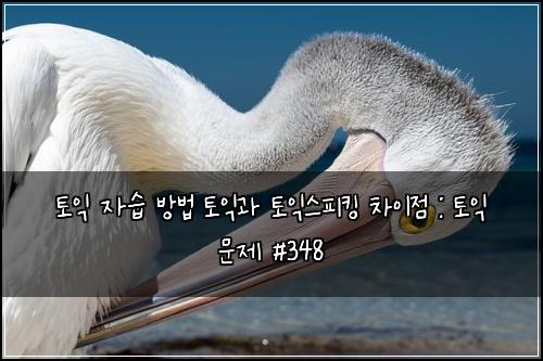 토익 자습 방법 토익과 토익스피킹 차이점 : 토익 문제 #348