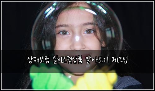 상해보럼 실비보험상품 알아보기 체크법