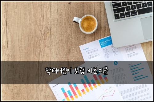 닥터어린이 보험 바로지금 