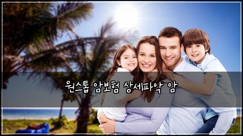 원스톱 암보험 상세파악  암