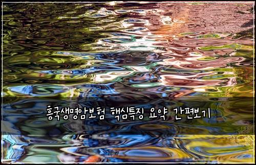 ํฅ๊ตญ์๋ช
์๋ณดํ ํต์ฌํน์ง ์์ฝ ๊ฐํธ๋ณด๊ธฐ