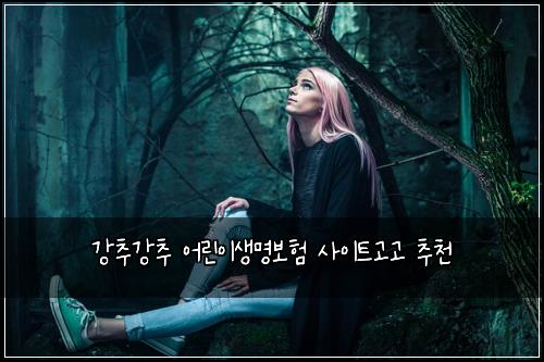 ๊ฐ์ถ๊ฐ์ถ ์ด๋ฆฐ์ด์๋ช
๋ณดํ ์ฌ์ดํธ๊ณ ๊ณ ์ถ์ฒ