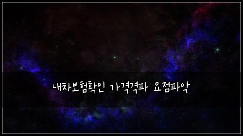 내차보험확인 가격격파 요점파악