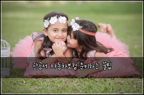 관공서 자동차보험 준비하는 꿀팁