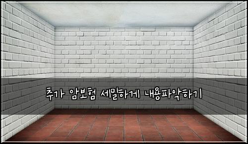 추가 암보험 세밀하게  내용파악하기