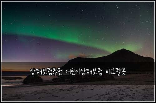 상해보험추천 어린이상해보험 비교할곳