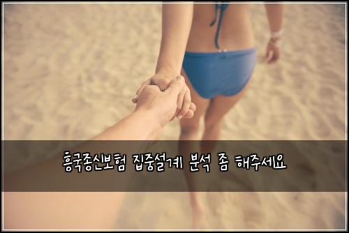 흥국종신보험 집중설계  분석 좀 해주세요