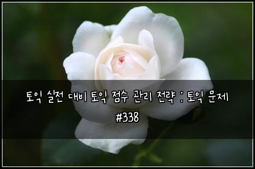 토익 실전 대비 토익 점수 관리 전략 : 토익 문제 #338