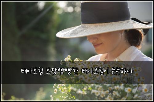 ํ์๋ณดํ ๋ณด์ฅ๋นต๋นตํ ํ์๋ณดํ์ด ๋ ๋ ํ๋ค