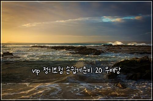vip ์ ๊ธฐ๋ณดํ ์์ฝ๊ฒ์ค๋น 20 ๋ฌด๋ฐฐ๋น