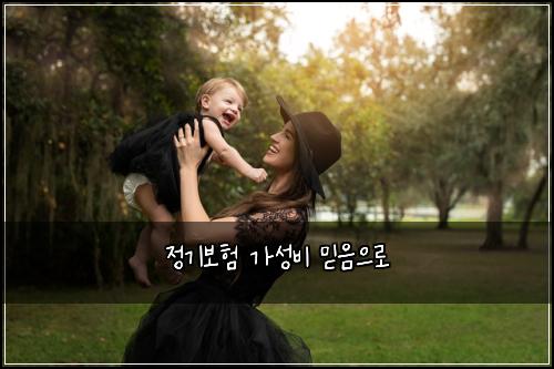 정기보험 가성비  믿음으로