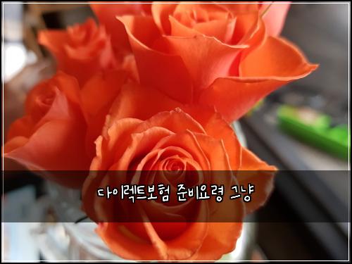 다이렉트보험 준비요령  그냥