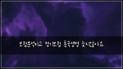 보험분석비교 정기보험 흥국생명 늦지않아요