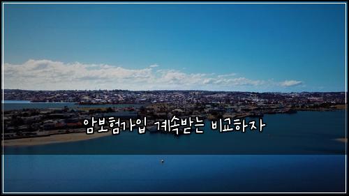 암보험가입 계속받는 비교하자