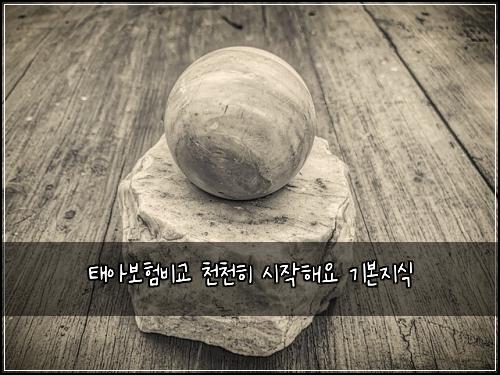 ํ์๋ณดํ๋น๊ต ์ฒ์ฒํ ์์ํด์ ๊ธฐ๋ณธ์ง์