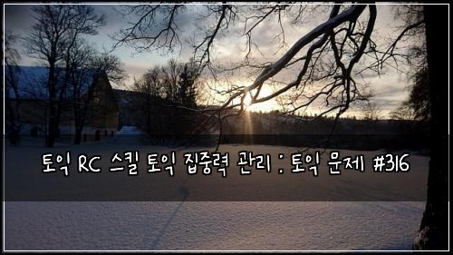 토익 RC 스킬 토익 집중력 관리 : 토익 문제 #316