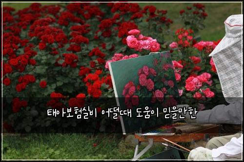 태아보험실비 어떨때 도움이 믿을만한