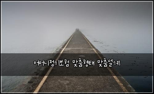 어머니정기보험 맞춤형태  맞춤설계