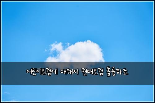 어린이보험에 대해서 현대보험 훌륭하죠
