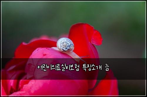 어린이의료실비보험 특징소개  늠