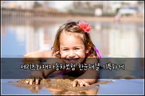 λ©λ¦¬μΈ νμ¬μλ차보ν νλν΄κ²° κΈ°νΉνκ²