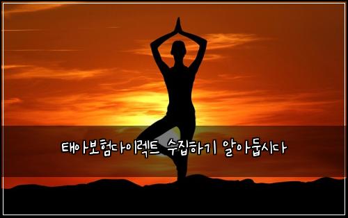 태아보험다이렉트 수집하기 알아둡시다