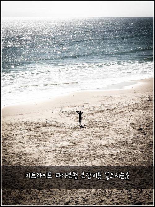 메트라이프 태아보험 보장비용  넣으시는분
