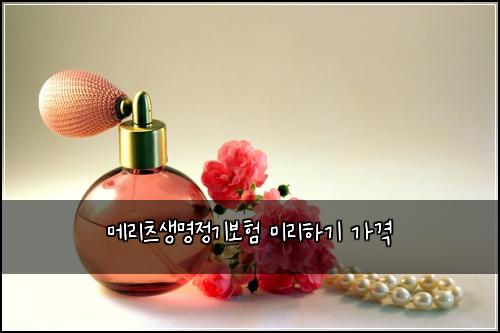 메리츠생명정기보험 미리하기  가격