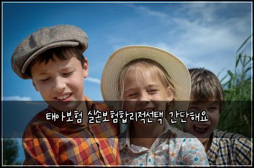 ํ์๋ณดํ ์ค์๋ณดํํฉ๋ฆฌ์ ์ ํ ๊ฐ๋จํด์